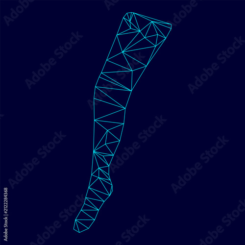 Obraz na plátně Beauty leg low poly triangulation triangulated polygonal electric cyan blue vibr