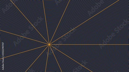 Fotografie Abstract yellow polar coordinate system grid background with concentric circles