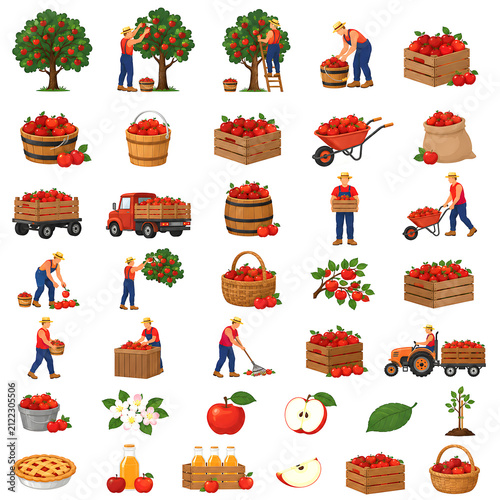 Apple Harvest Collection