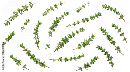 Fresh green thyme sprigs scattered on a white background, ready for culinary use or seasoning.