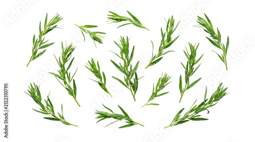 Fresh green tarragon herb sprigs scattered on a white background, viewed from above.