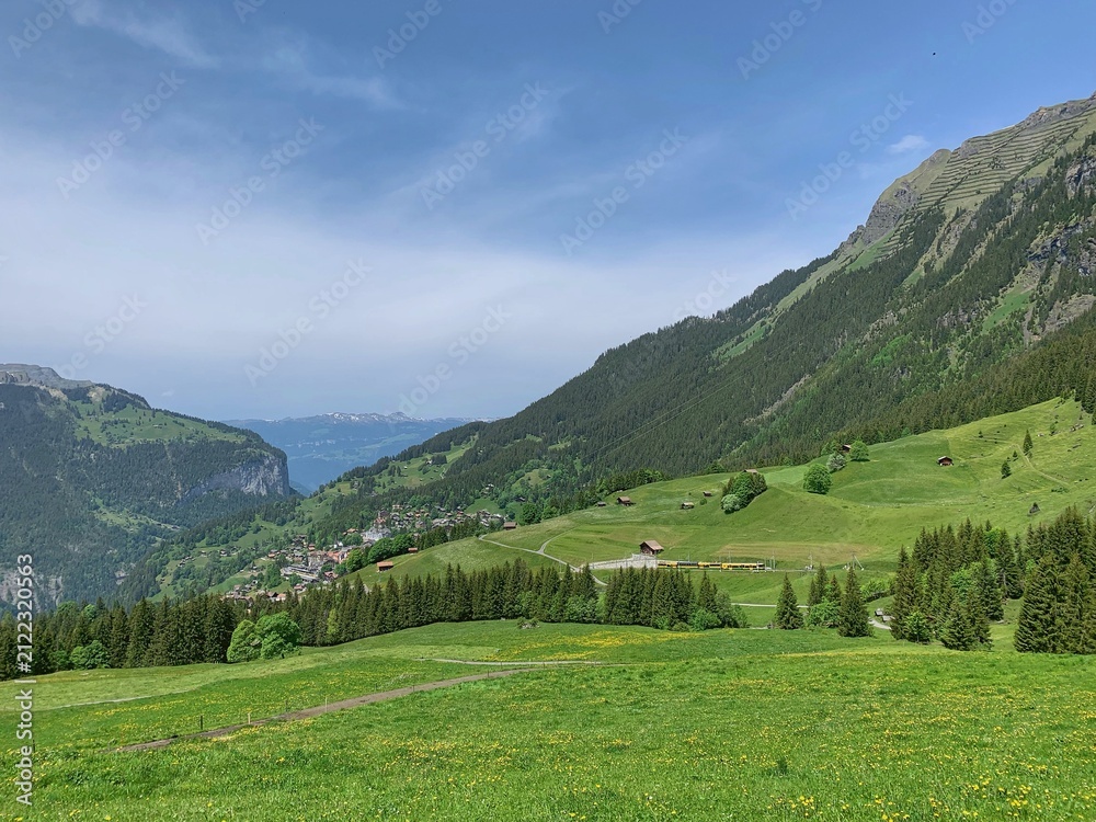 Fototapeta premium Springtime Whistle in the Swiss Hills