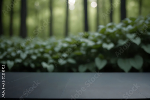 Green plant with dark background