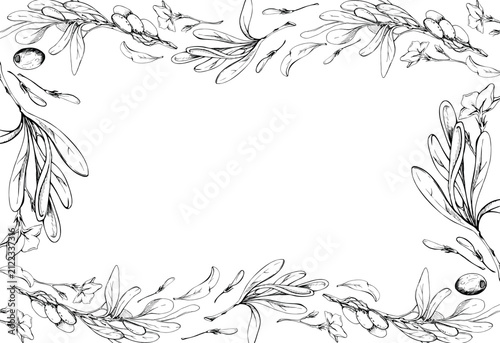 Mediterranean border frame of foliage, ripe olives, bay laurel, buckthorn leaves. Hand drawn pencil illustration. Specialty food products, hospitality branding, culinary stationery, gourmet promotions