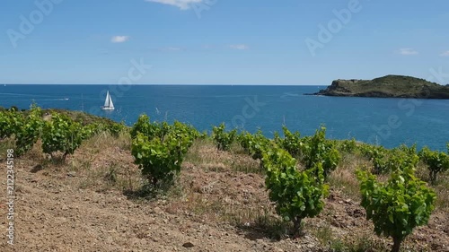 Beautiful seascape in the south of France with a yacht, vineyard and mountains 