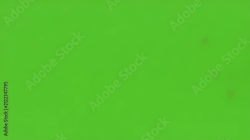 Sparkling light particles trail across green screen during celebrations and transitions