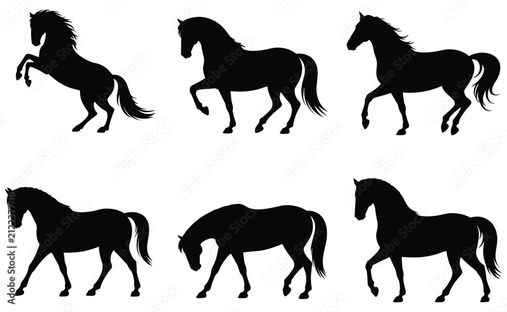 Fototapeta premium Horse silhouettes collection black shapes on a white background