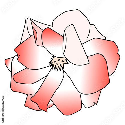 vector illustration of a red ribbon
