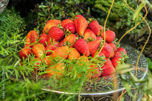 Fresh ripe strawberries on a silver platter in green foliage