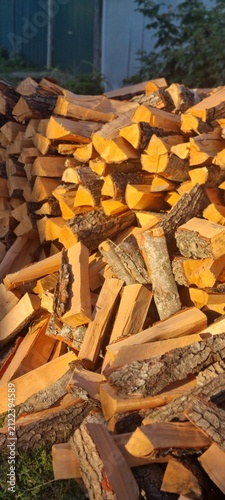 Firewood Stack Near Rural Fence