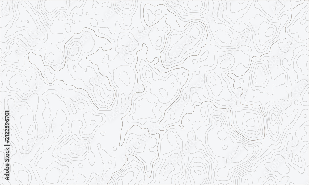 Fototapeta premium Topographic map contour lines seamless pattern on white background for cartography and geographic design and data visualization.