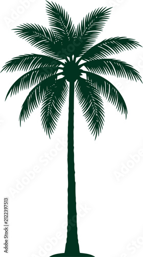 Slender tall palm tree silhouette with straight trunk standing isolated on white