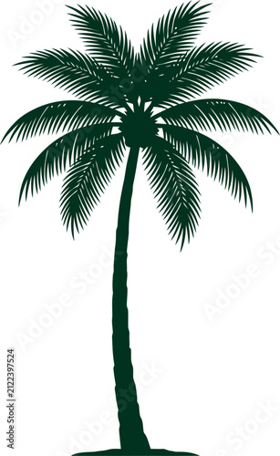 Slender tropical palm tree curving upwards in dark green vector silhouette