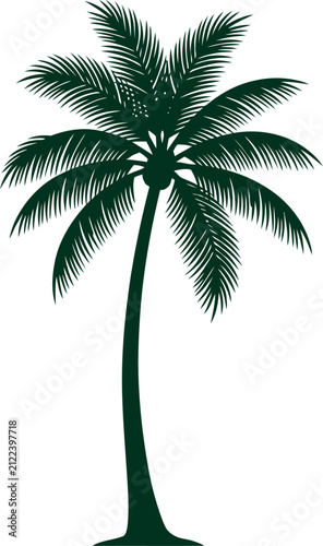 Tall tropical palm tree silhouette standing isolated on a clean transparent background