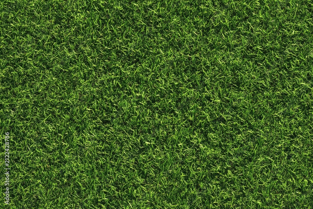 Obraz premium Top view close-up of fresh green grass field texture surface