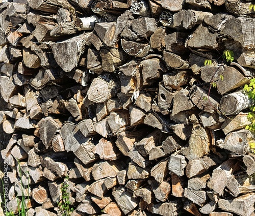 Styrian countryside, animals and trees, Hitzendorf, Styria, Austria, Europe, May 2026
, pile of firewood
