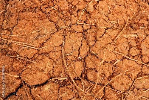 Konstfotografi Dry Cracked Soil And Parched Earth With Dead Plant Stems In Drought-Stricken Fie