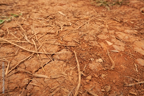 Canvastavla Dry Cracked Soil And Parched Earth With Dead Plant Stems In Drought-Stricken Fie