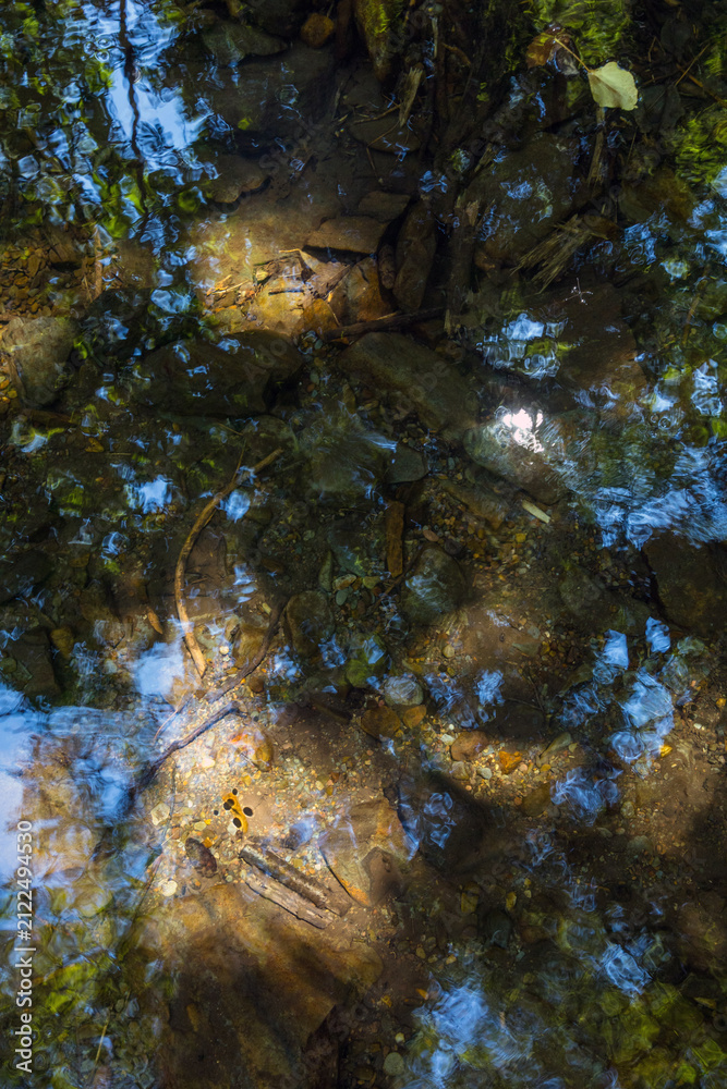 Fototapeta premium Clear mountain water reflects the blue sky and green forest canopy