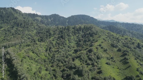 Aerial drone view of lush green forested mountain slopes under a clear sky.