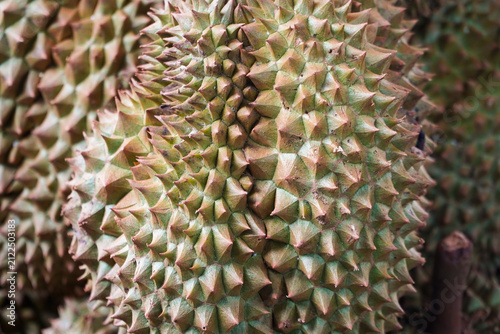 Принти на полотні Close-up of spiky durian fruit with green and brown textured rind, natural tropical setting, ideal for food photography or culinary content highlighting exotic fruits, elegantly showcasing nature