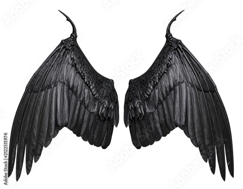 a high quality stock photograph of a single demon wings seperated from each other isolated on a white background
