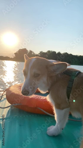 Corgi dog with owner enjoying fishing trip on lake, sitting together in boat surrounded by calm water and scenic nature. Peaceful outdoor adventure with pet companion during summer vacation. 