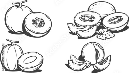 Hand Drawn Cantaloupe Melon Collection Vector Illustration Set with Whole, Halved and Sliced Fresh Melons, Seeds and Fruit Pieces.