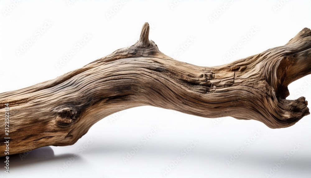 Fototapeta premium smooth weathered driftwood branch isolated on white background