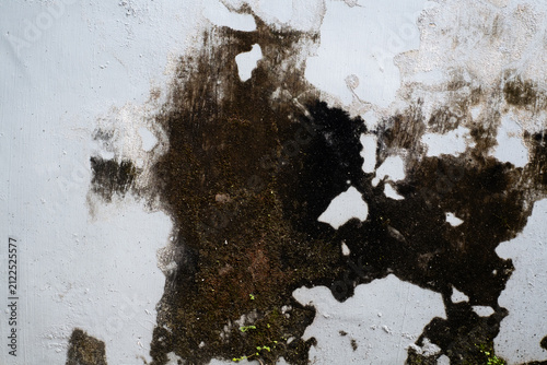 Foto Close-up of damaged white wall with peeling paint and black mold texture