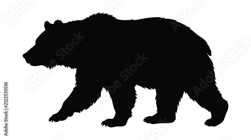 Black bear walking silhouette against a white background silhouette