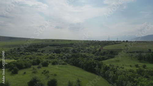 Aerial view of lush green trees and rolling hills in rural countryside.