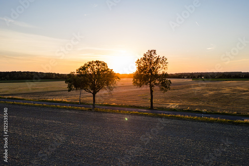 Low Aerial View of a Country Road at Sunset with Sun Between Trees