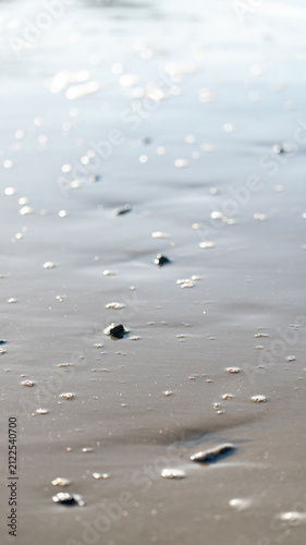 Bild auf Leinwand Vertical close-up of wet sand and shell fragments, Australia