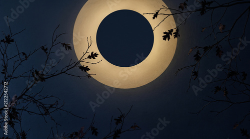 Full moon glowing in the night sky. Dark silhouette of tree branches against lunar light.