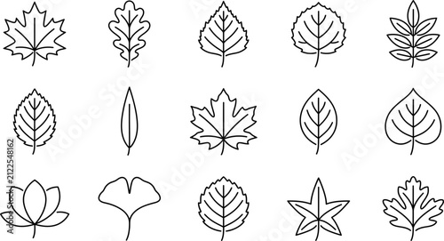 Set of hand drawn leaf icons featuring various tree species in a simple black line art style