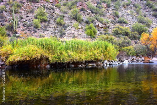 Salt River Recreation Area Arizona