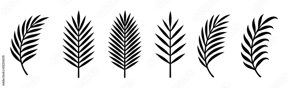 Obraz premium Set of black silhouette palm leaves in various shapes and styles. Vector tropical leaf illustrations collection for botanical design, nature decoration, summer themes, and graphic projects