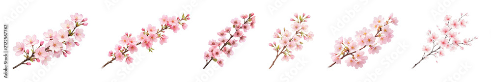 Fototapeta premium PNG Delicate pink cherry blossoms arrangement on transparent background