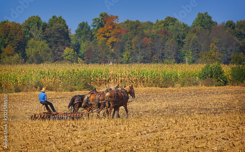 Konstfotografi Amish farmer and horse drawn plow on autumn fields with trees and outhouse