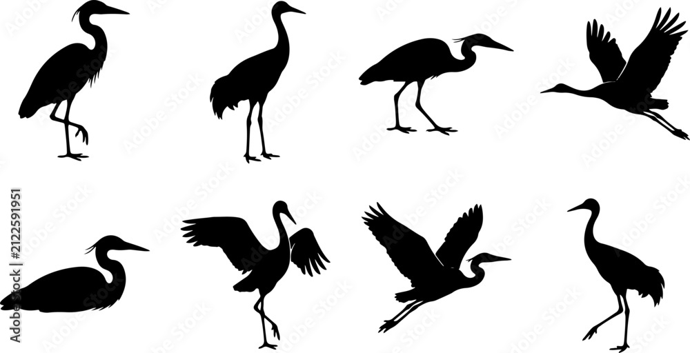 Fototapeta premium Detailed black silhouette illustrations of herons in various poses including standing walking and flying with wildlife silhouette standing waterbird migration