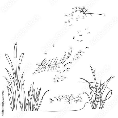 Connect the dots and color. Grey heron standing in grass 