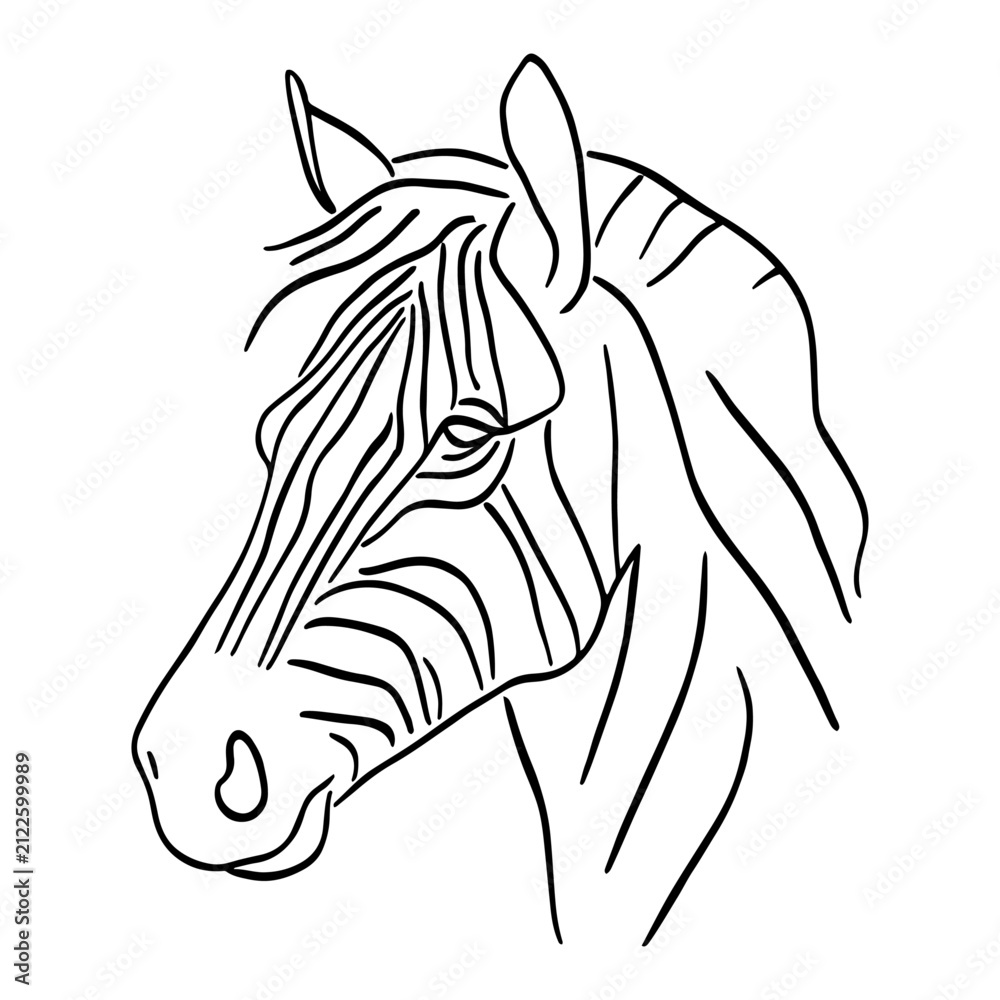 Obraz premium Zebra head with stripes in minimalist black and white line art style