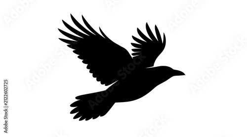 Cuadro en lienzo Raven silhouette with outstretched wings appears to be flying across a plain white background, rendered in a stark and graphic style