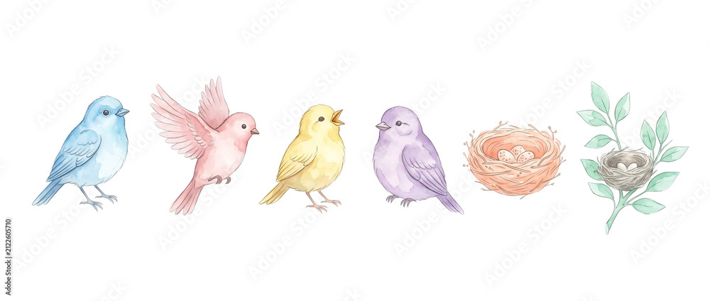 Fototapeta premium Watercolor pastel birds set clip art featuring colorful flying sitting singing songbirds with nests and eggs, cute spring nature watercolor illustration isolated on white background vector art