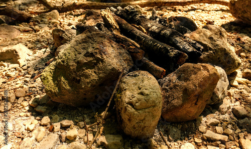 Close-up of a makeshift campfire pit framed with natural rocks and burnt wood logs outdoors.