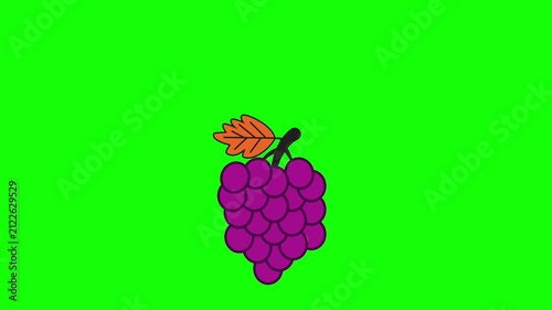 A fresh grape floats and loops smoothly in a flat, healthy fruit animation, moving gently as a simple symbol of food and nourishment