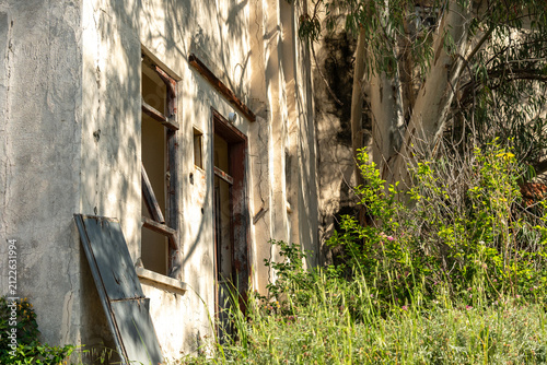 Фотография An abandoned overgrown hotel braided with beautiful flowering plants