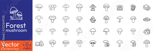 Canvastavla Forest mushroom line icon set