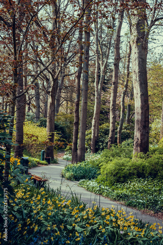 Blooming parkland in Keukenhof in Lisse, Netherlands